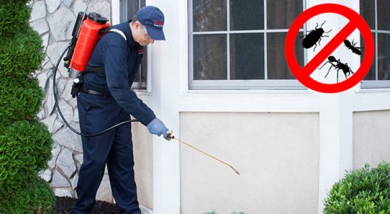 Pozantı Hamam Böceği İlaçlama böcek ilaçlama ve haşere kontrolü — ilaclama-tr.com
